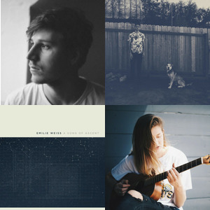 Bands and artists like Austin Sebek