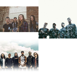 Bands and artists like Fit For A King