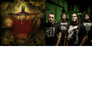 Bands and artists like Advent