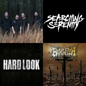 Bands and artists like Desolate Tomb