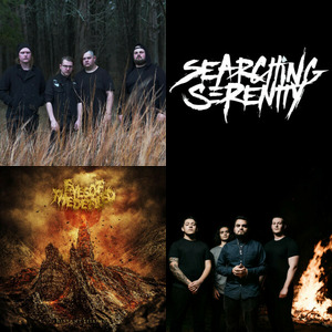 Bands and artists like Toarn
