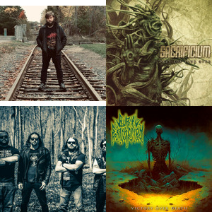 Bands and artists like Since the Death