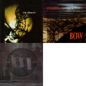 Bands and artists like Wish For Eden
