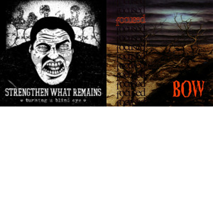 Bands and artists like Sound The Ruin