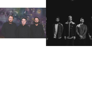 Bands and artists like Sherwood