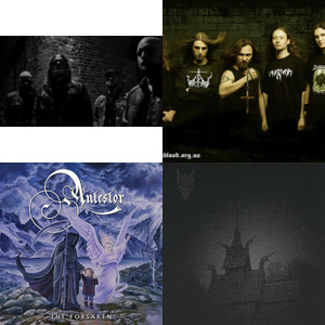 Bands and artists like Slechtvalk