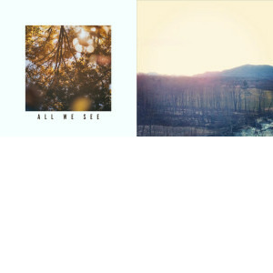 Carinthia singles & EP