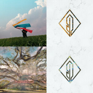 Neon Feather singles & EP